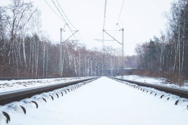 Kışın ormandaki raylar karla kaplıdır. Şoförün taksisinden raylar.