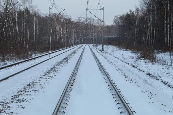 The rails are covered with snow, View along the railway. The rails in the winter in the forest are covered with snow. Red light simaphor