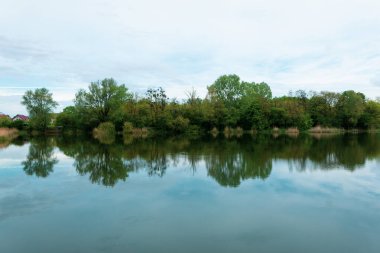Suda ağaçların ve gökyüzünün yansıması. Şehir parkının manzarası, doğayla iç içe bir gölet.