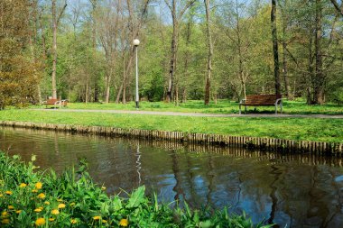 Şehir parkındaki su deposu boyunca giden yol. Şehir parkında manzara