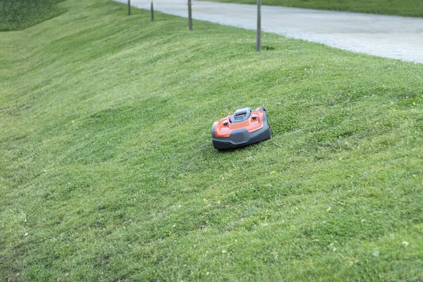 Otomatik Çim Biçme Robotu Bahçede Çim Biçiyor Görüş Seçici Odaklanma — Stok fotoğraf