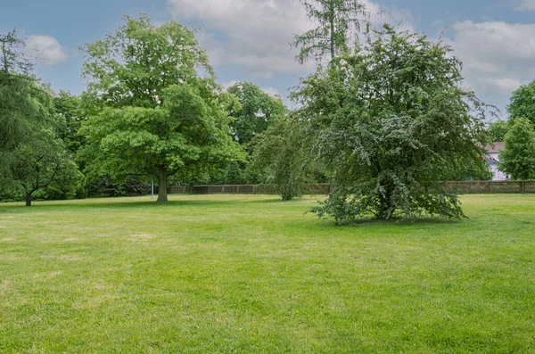 Gyönyörű Táj Városi Parkból Panoráma Egy Nagy Városi Park Fákkal — Stock Fotó