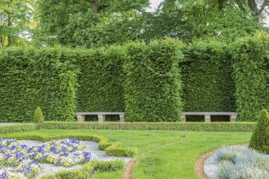 Yolları, çiçekleri ve ağaçları olan güzel bir şehir parkı manzarası. Sessiz yeşil bir parkta güzel bir doğa. Park iyi korunmuş.