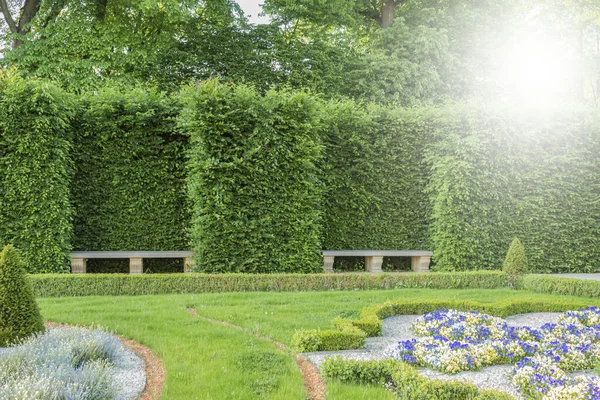 晴れた夏の日に市内公園の風景 そして日当たりの良いフレア 公園の風景です 太陽の下で市内の公園で素晴らしい景色 レンズフレア — ストック写真