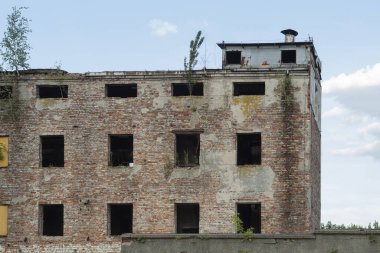 Penceresi olmayan terk edilmiş eski bir kırmızı tuğla bina. Terk edilmiş tuğla, pencerelerden genç bir ağaç filizlenecek. Yıkım için harabeler