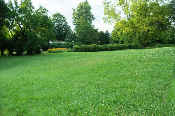 芝生や木々と美しい公園の風景 朝の植物園で手入れされた芝生と木 近代的な景観デザイン — ストック写真