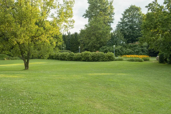Gyönyörű Táj Egy Őszi Park Gyeppel Fákkal Őszi Park Naplementekor — Stock Fotó