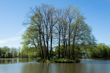 Yazmak için yeri olan güzel peyzaj parkı. Peyzaj yapılmış bir şehir parkında yeşil bir çevre. Metin için alanı kopyala