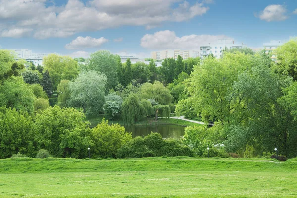 Piękny Park Krajobrazowy Miejscem Tekst Zielone Środowisko Parku Miejskim Kopiuj — Zdjęcie stockowe