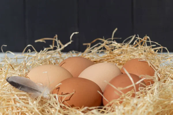 Fresh Chicken Eggs Farm Countryside Close Lifestyle Fresh Chicken Eggs — Stock Photo, Image