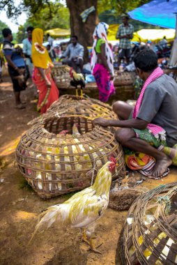 Bastar bölgesi, Chhattisgarh, Hindistan / 29 Eylül 2017: Jagdalpur yakınlarındaki Lohandiguda köyünde satılık horozlar, Bastar bölgesi, Chhattisgarh, Hindistan