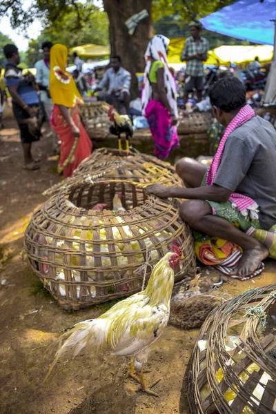Bastar bölgesi, Chhattisgarh, Hindistan / 29 Eylül 2017: Jagdalpur yakınlarındaki Lohandiguda köyünde satılık horozlar, Bastar bölgesi, Chhattisgarh, Hindistan