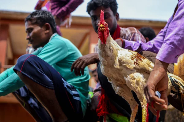 Bastar District Chhattisgarh Indien September 2017 Byborna Anländer För Att — Stockfoto