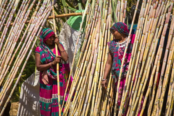 Gujarat Índia Março 2017 Cana Açúcar Sendo Vendida Durante Celebrações — Fotografia de Stock