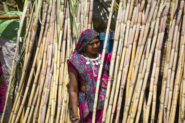 Gujarat Índia Março 2017 Cana Açúcar Sendo Vendida Durante Celebrações — Fotografia de Stock