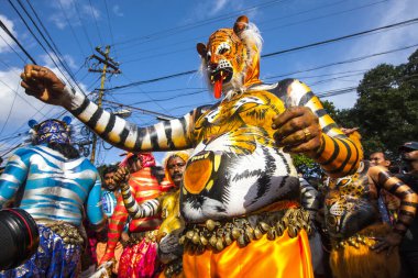 Thrissur, Kerala, Hindistan / 10 Eylül 2014: Eğitimli dansçılar vücutlarını kaplan rengine boyatırlar ve 200 yıllık ünlü Pulikali dansına katılırlar. 