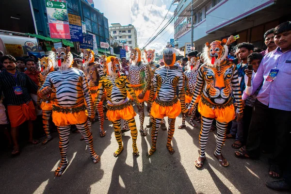 Thrissur, Kerala, Hindistan / 10 Eylül 2014: Eğitimli dansçılar vücutlarını kaplan rengine boyatırlar ve 200 yıllık ünlü Pulikali dansına katılırlar. 