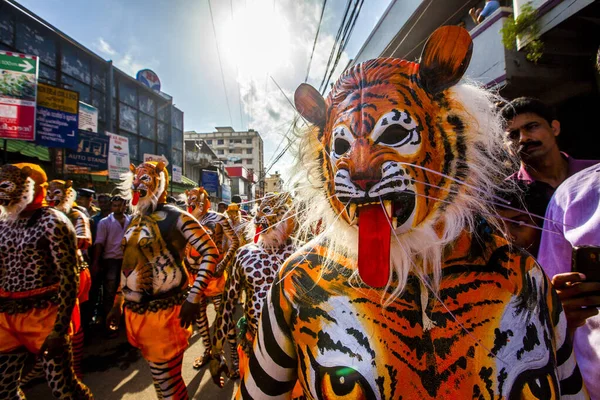 Thrissur, Kerala, Hindistan / 10 Eylül 2014: Eğitimli dansçılar vücutlarını kaplan rengine boyatırlar ve 200 yıllık ünlü Pulikali dansına katılırlar. 
