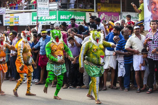 Thrissur, Kerala, Hindistan / 10 Eylül 2014: Eğitimli dansçılar vücutlarını kaplan rengine boyatırlar ve 200 yıllık ünlü Pulikali dansına katılırlar. 