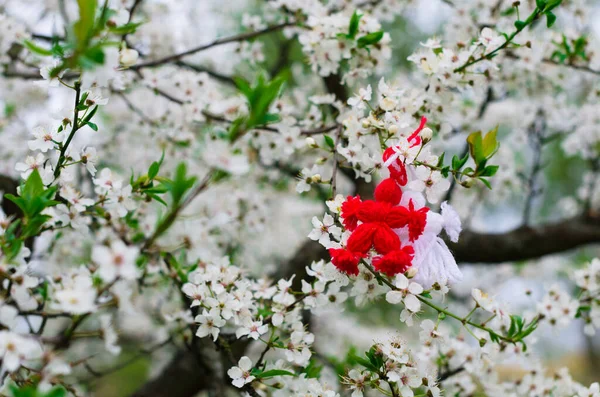 盛开的树枝上挂着红白相间的美丽的花缎 春天的庆祝活动开始了 罗马尼亚和保加利亚的传统 — 图库照片