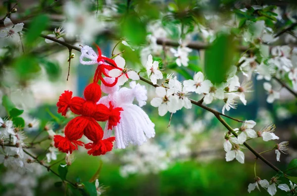 Den Zweigen Des Blühenden Baumes Hängt Rot Weißes Wunderschönes Marmor — Stockfoto