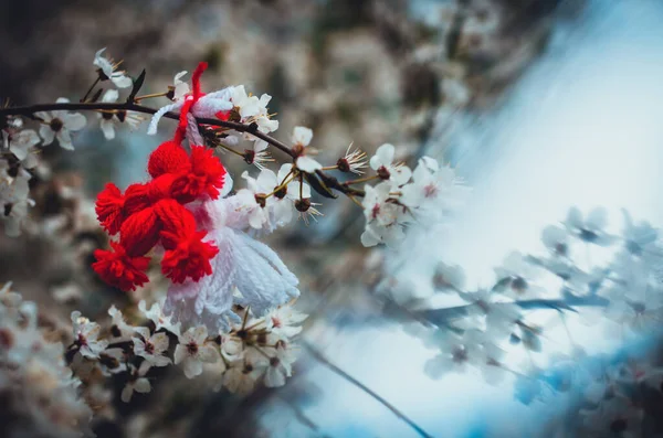 Rood Wit Mooie Martisor Opknoping Aan Takken Van Bloeiende Boom — Stockfoto