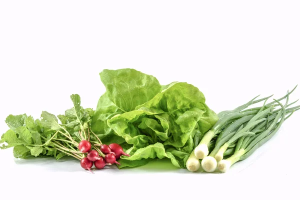 Färska grönsaker från en hem trädgård — Stockfoto