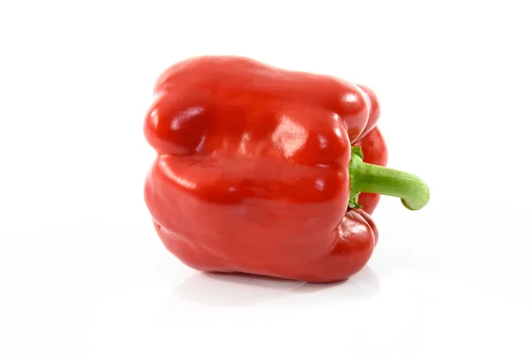 Uitstekende rode peper — Stockfoto