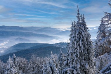 Karpat Dağları 'nın güzel kış manzarası. Yazın gökyüzü çok güzel.