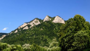 Slovakya 'daki Pieniny Ulusal Parkı' nda açık mavi bir arka planda üç Crowns zirvesine bakın