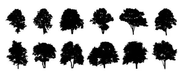 vektöre göre beyaz arkaplan tasarımında siluet halinde ağaç koleksiyonu
