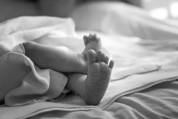 Newborn feet close up. — Stock Photo, Image