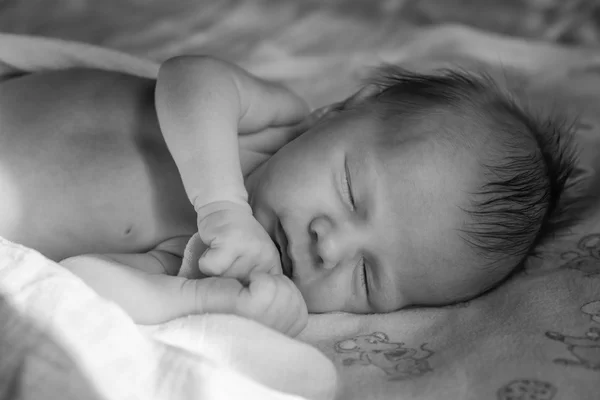 Newborn baby sleeping sweetly — Stock Photo, Image