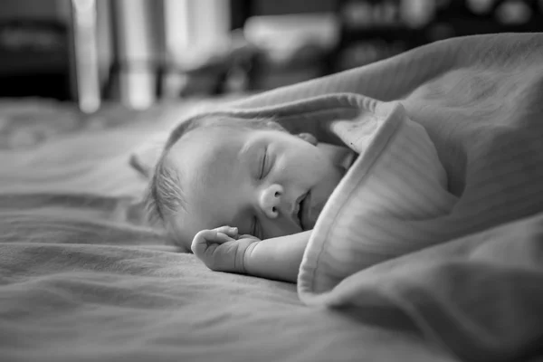 Newborn baby sleeping sweetly — Stock Photo, Image