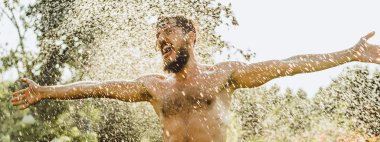 Yeşil Yaz doğada sakallı adam