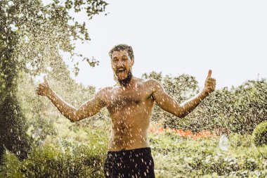 Yeşil Yaz doğada sakallı adam