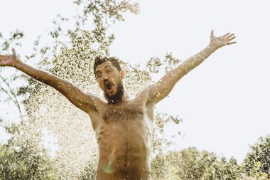 Yeşil Yaz doğada sakallı adam