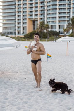 Miami sahilinde genç bir adam eğleniyor ve küçük bir köpekle oynuyor..