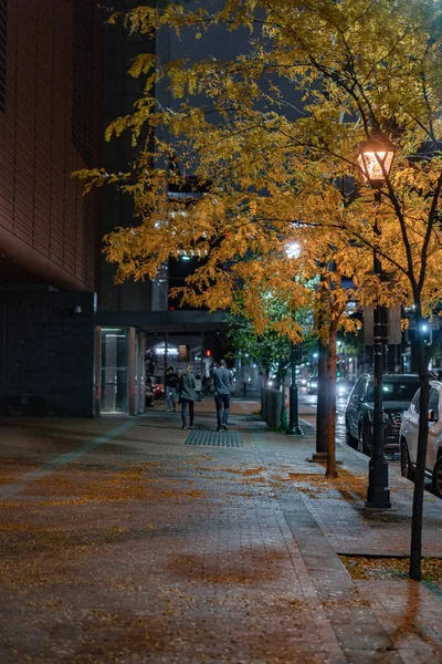 New York Philadelphie Photo Rue Rues Ville Décembre 2020 — Photo