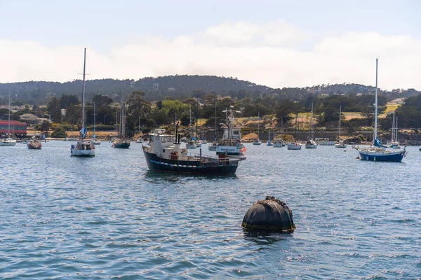 Pier San Francisco California Usa Background Look Seals Yachts — Stock Photo, Image