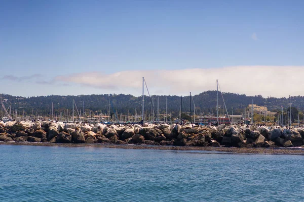 Pier San Francisco Californië Verenigde Staten Achtergrond Kijk Zeehonden Jachten — Stockfoto