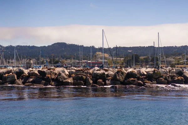 Pier San Francisco Californië Verenigde Staten Achtergrond Kijk Zeehonden Jachten — Stockfoto