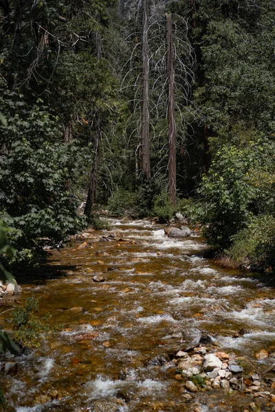 View Valley Yosemite — Stock Photo, Image