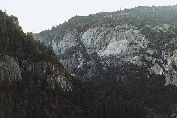 Yosemite Dağı Vadisi — Stok fotoğraf
