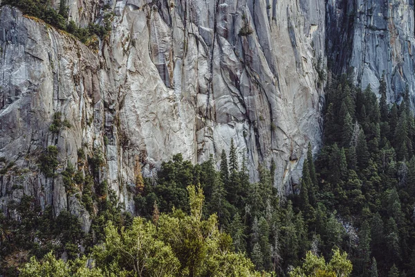 Yosemite Dağı Vadisi — Stok fotoğraf