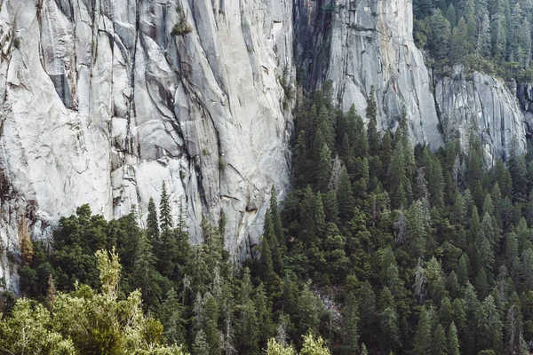 Mountain Valley Yosemite — Stock Photo, Image