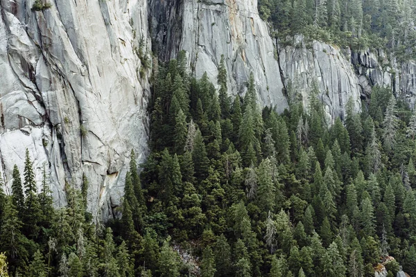 Yosemite Hegyi Völgye — Stock Fotó