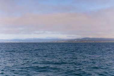 Monterey Körfezi Balina İzleme,