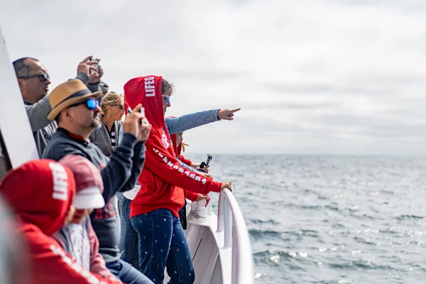 Monterey Bay Whale Watch — Stock Photo, Image