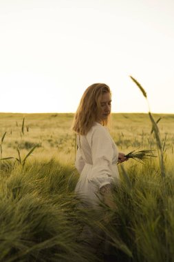 Sarışın, beyaz elbiseli güzel bir kadın buğday tarlasında buket topluyor. Güneşte uçan saçlar, yaz. Hayalperestlerin zamanı, altın gün batımı.